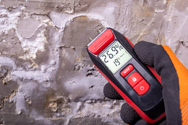 Best Industrial Mold Remediation in Winterset, IA